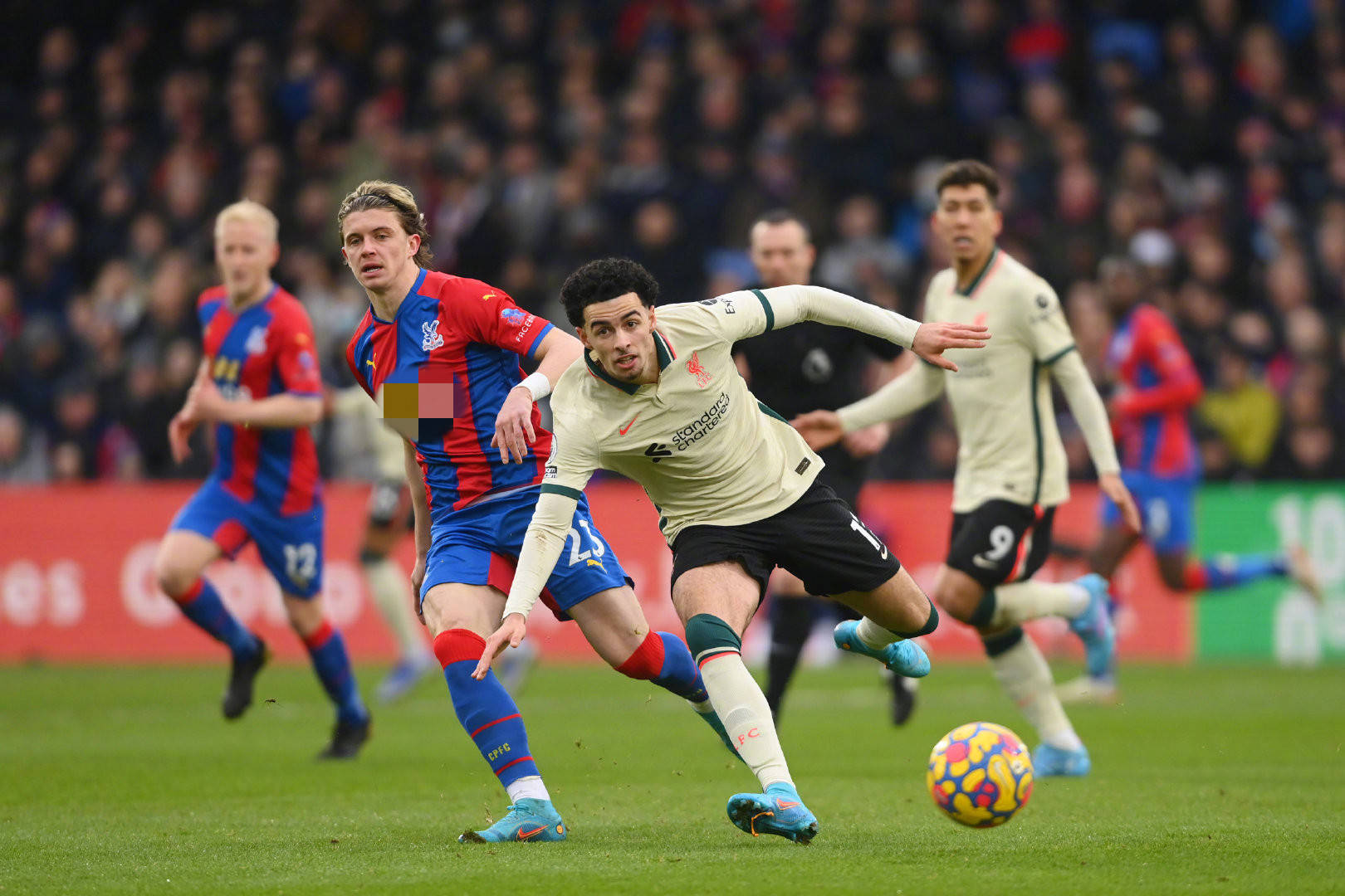 力都得到了 力都得到了