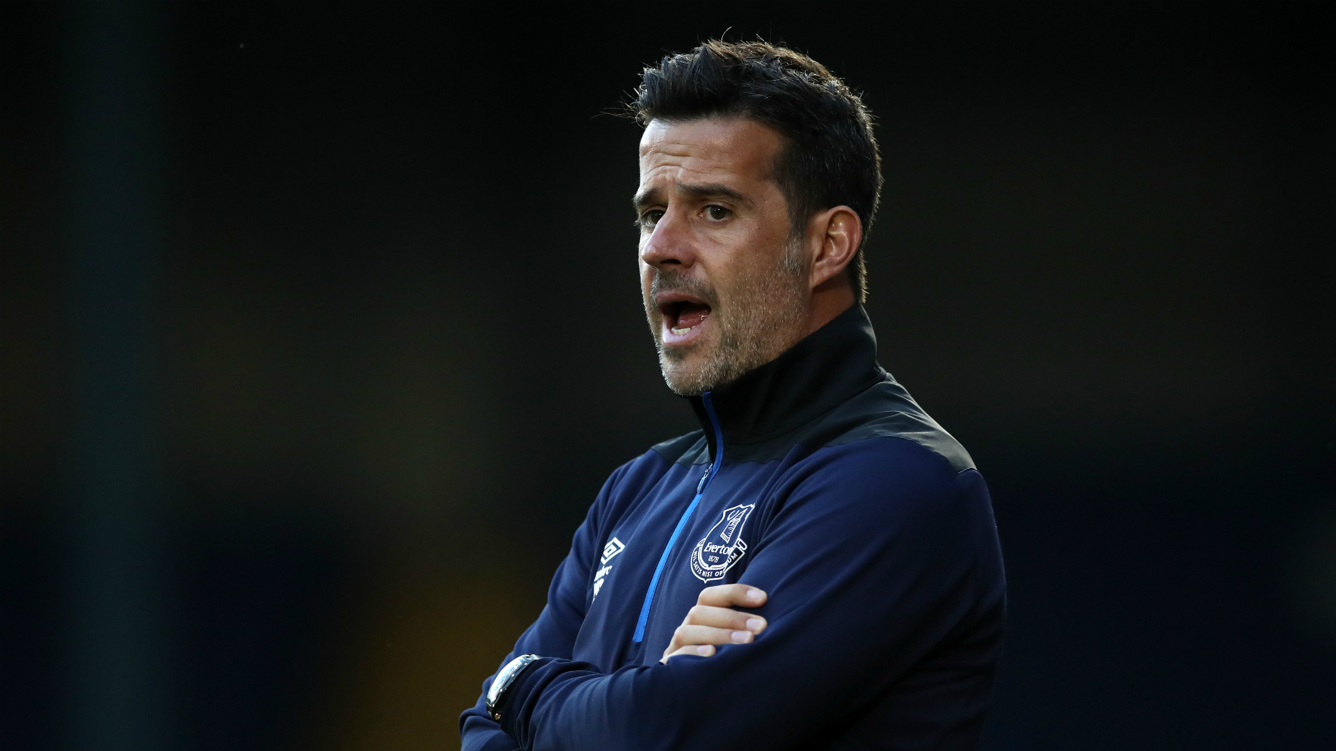 们提供了宝 们提供了宝