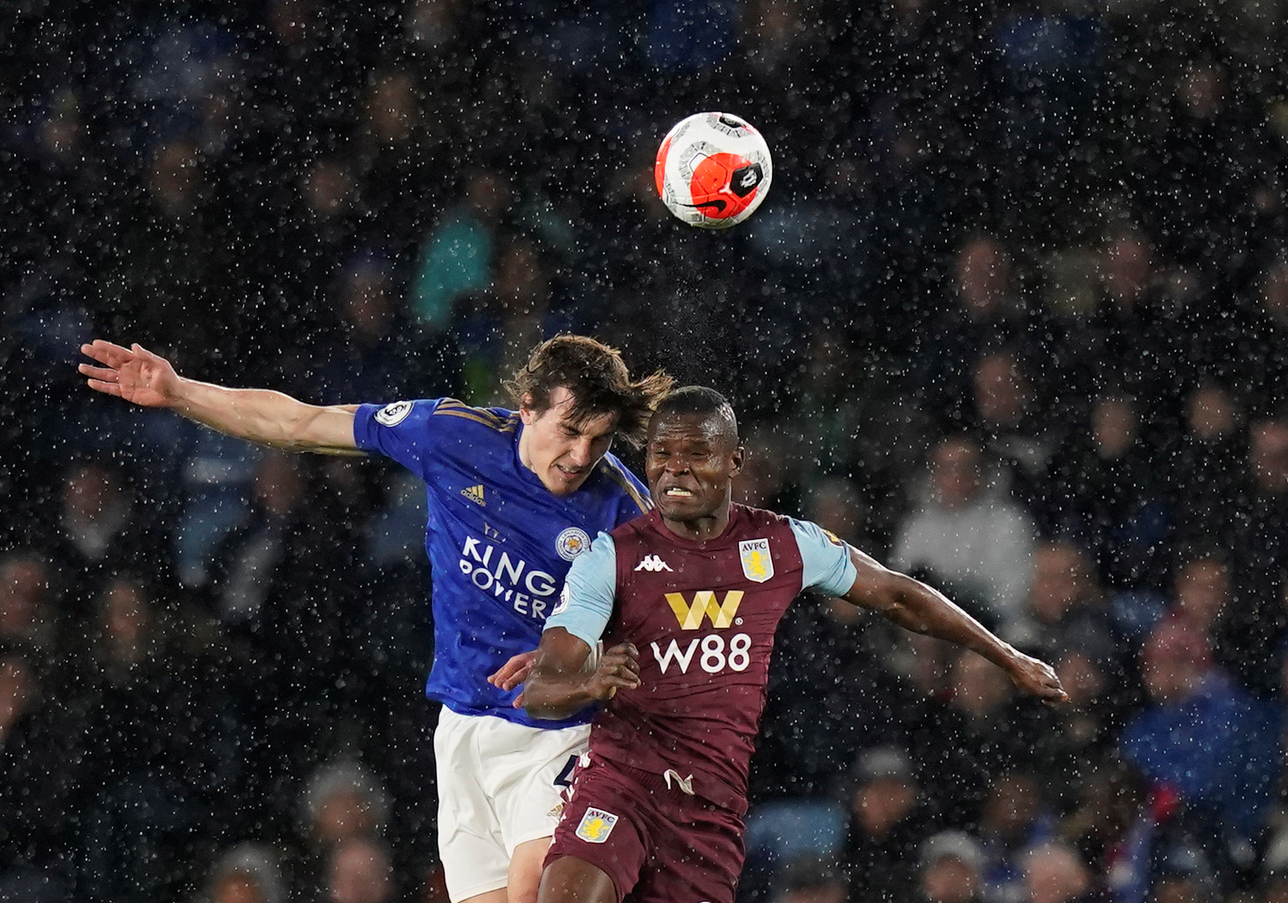 不仅可以提 不仅可以提